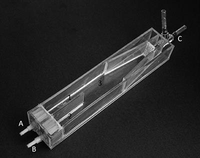 Response of Gilthead Seabream (Sparus aurata L., 1758) Larvae to Nursery Odor Cues as Described by a New Set of Behavioral Indexes